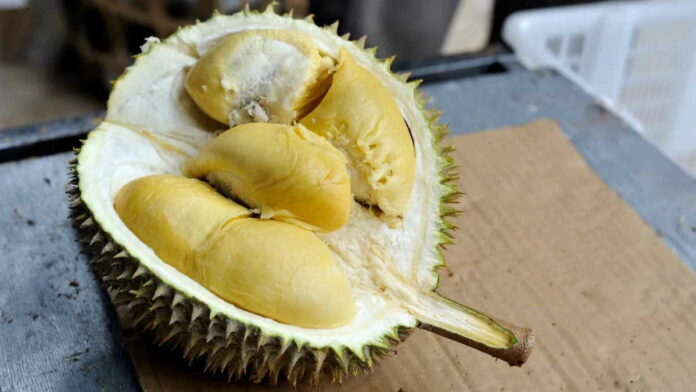 Durian Menyebabkan Darah Tinggi, Benarkah Cek Faktanya!