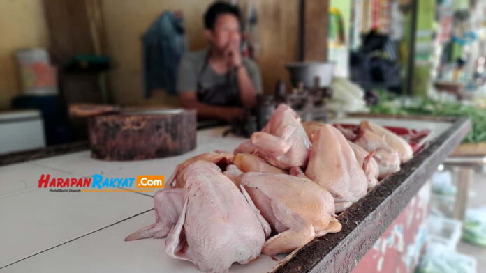 Harga Daging Ayam di Kota Banjar