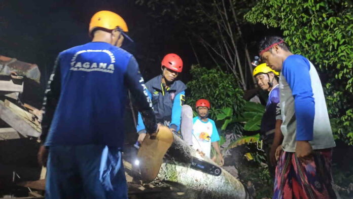 Lapuk, Pohon Petai Tumbang dan Timpa Masjid di Cigugur Pangandaran