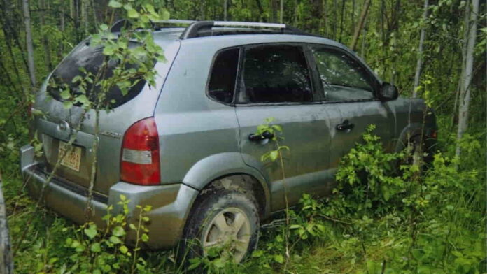 Mobil Nyasar ke Hutan di Kawasan Brebes Jadi Viral, Begini Ceritanya!