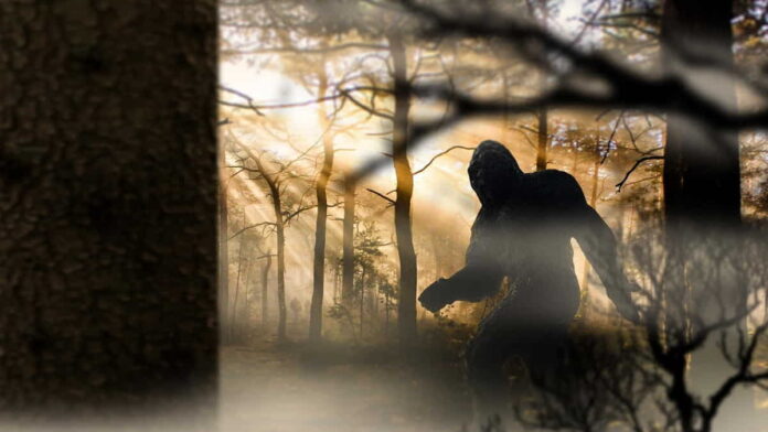Penampakan Bigfoot Viral, Terjadi di Kawasan Purwokerto! Simak Ini!