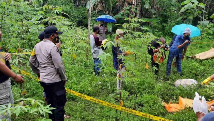 Pencari RUmput di Tasikmalaya