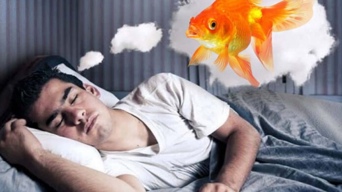 Arti Mimpi Ikan