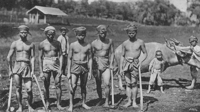 Budidaya Padi Masyarakat Jawa Kuno