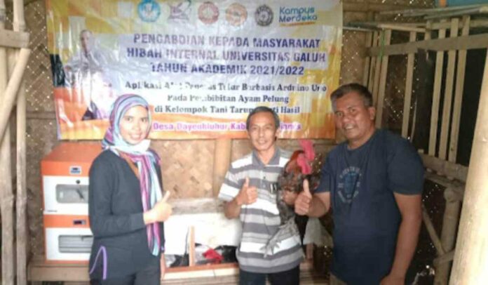 Dosen Unigal Berupaya Lestarikan Populasi Ayam Pelung