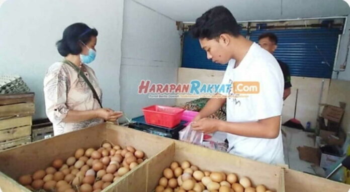Harga Telur di Pasar Banjar Tinggi, Dinas KUKMP Beri Penjelasan