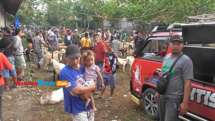 Hari Pertama Penutupan Pasar Ternak