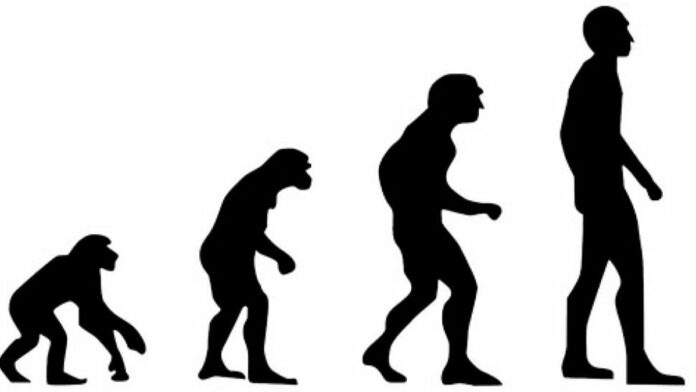 Hubungan Genetika dengan Evolusi di Dalam Bidang Ilmu Biologi