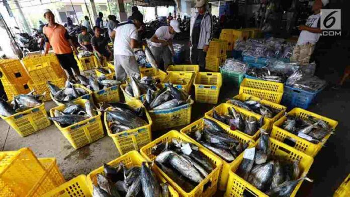 Peluang Investasi Sektor Perikanan Terbuka Lebar di Tahun 2022