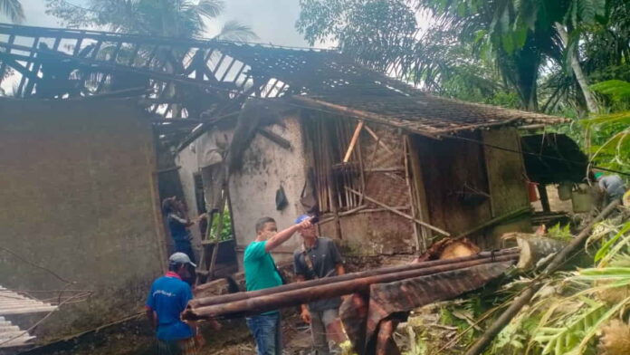 Rumah Hancur Tertimpa Pohon Aren