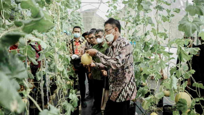 Bupati Ciamis Apresiasi Inovasi Pondok Pesantren Kembangkan Pertanian