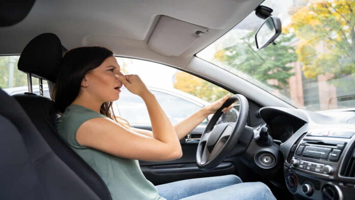 Cara Menghilangkan Bau Ikan di Mobil dengan Bahan Ini, Lebih Mudah!