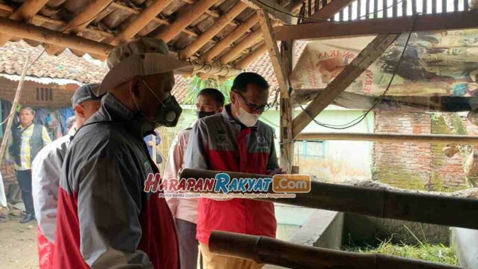 Dapat 800 Dosis, Vaksinasi PMK untuk Ratusan Sapi di Ciamis Dimulai
