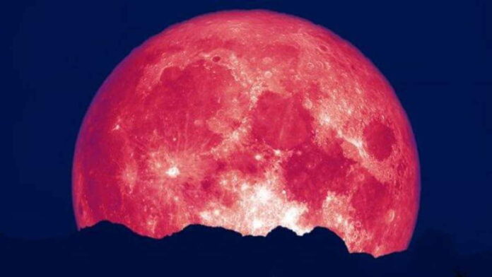 Fenomena Bulan Stroberi Mikro, Catat Jamnya Agar Tidak Ketinggalan!