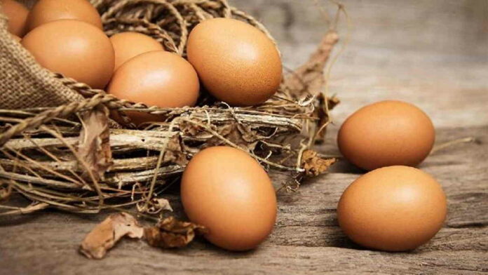 Harga Telur Ayam di Cipaku Ciamis Capai Rp 29.000 Per Kilogram
