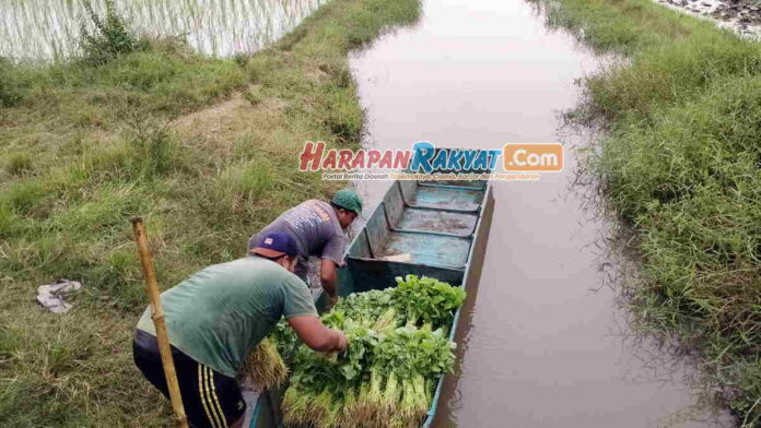 Petani di Ciamis Tagih Janji Wagub Jabar Membangun Embung