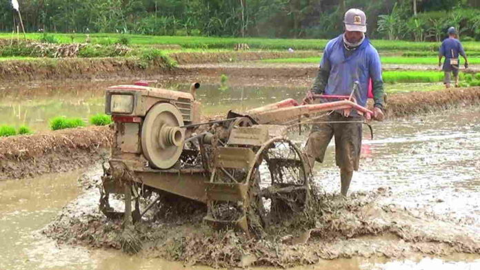 Punya Alat Pertanian, Petani di Pangandaran Harus Miliki Surat Rekomendasi untuk Beli BBM