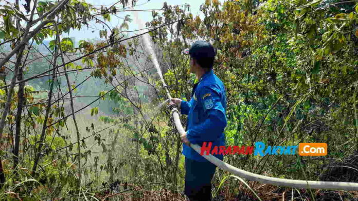 Kebakaran lahan