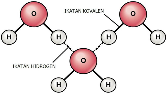 Contoh Ikatan Hidrogen dalam Kimia, Simak di Sini Penjelasannya!