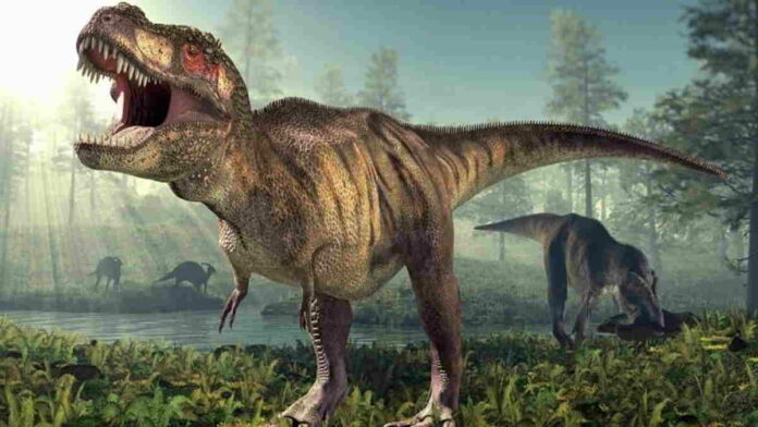 Fungsi Lengan Kecil T-Rex Terkuak Berkat Temuan Spesies Baru!