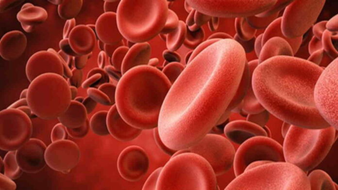 Fungsi Sel Darah Merah di Dalam Tubuh Manusia Sangat Vital, Apa Saja?