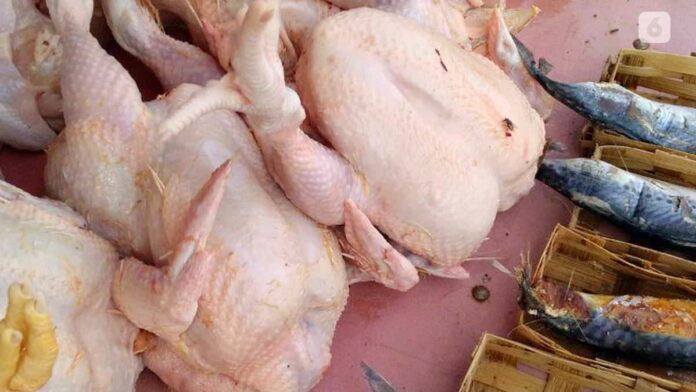 Harga Jual Ayam Kampung di Cipaku Mendadak Naik