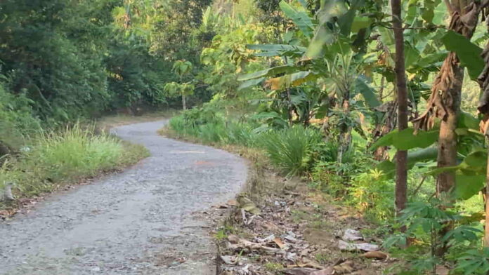 Jalan di Desa Banjaranyar