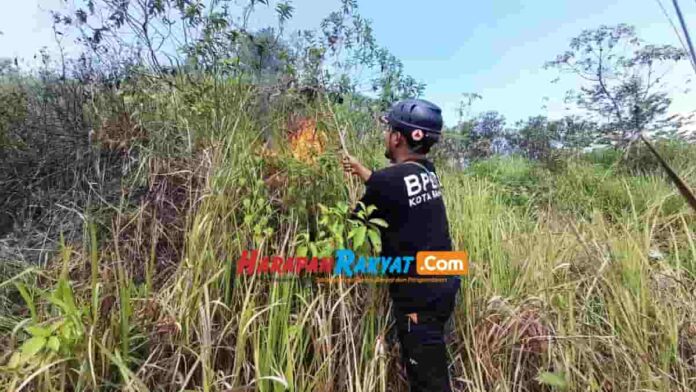 Kebakaran Lahan