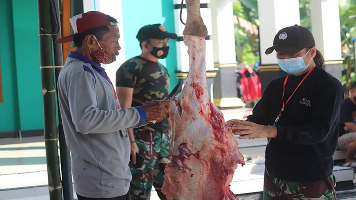Ketentuan Pembagian Daging Kurban