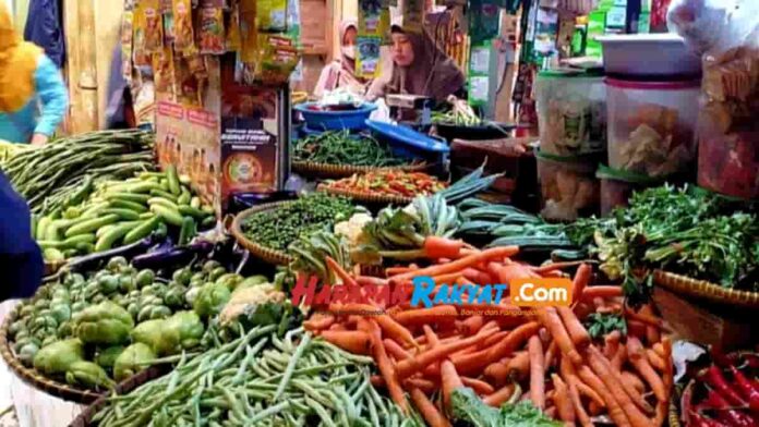 Harga Bawang