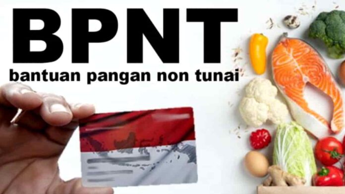 Program BPNT