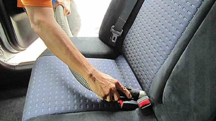 Cara Menghilangkan Semut di Mobil dengan Mudah dan Efektif