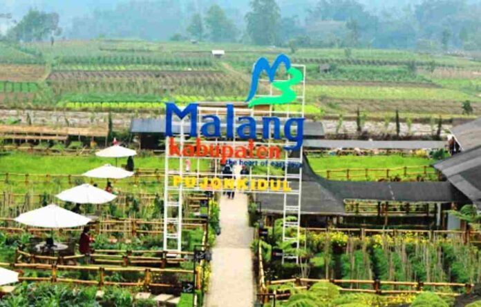 Desa Wisata Pujon Kidul Malang Jawa Timur