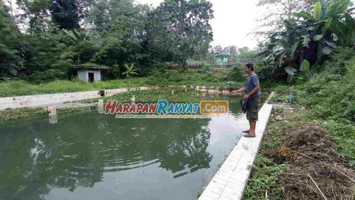 Ikan Koi yang Bupati Ciamis Tebar di Bekas Kolam Tirta Winaya Makin Tak Terawat
