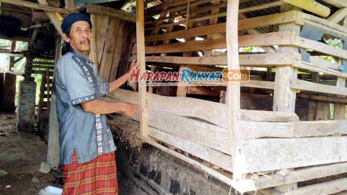 Pencurian Kambing Terjadi di Kota Banjar, Korban Rugi Belasan Juta