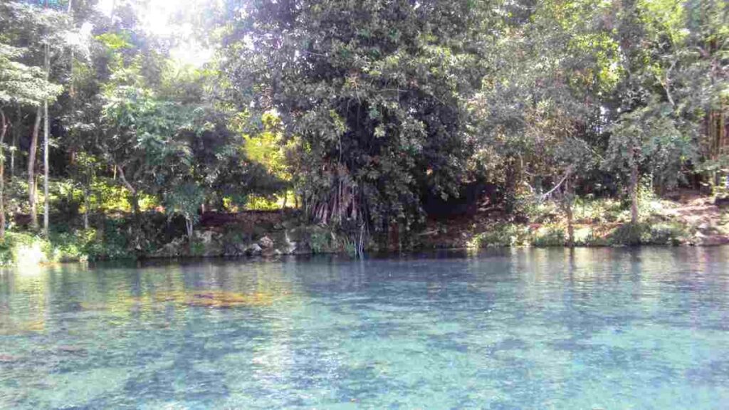 Objek Wisata Telaga Air Cempaka Tegal Jawa Tengah