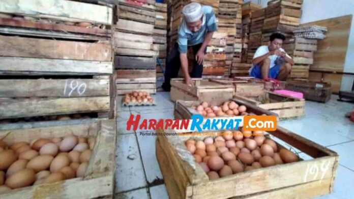 Harga Telur Ayam