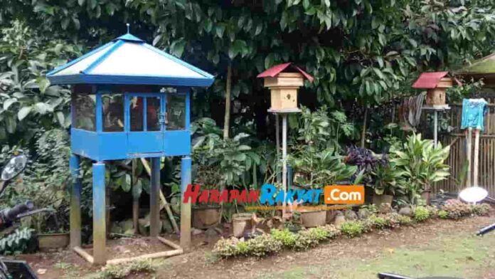 Beternak Lebah