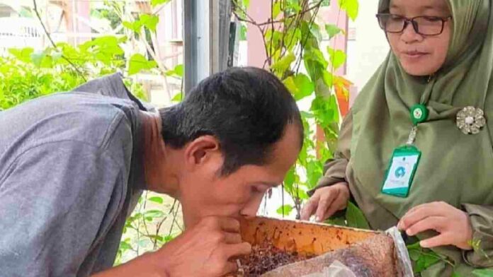 Budi daya madu trigona