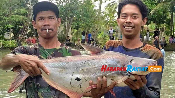 ngubyak balong