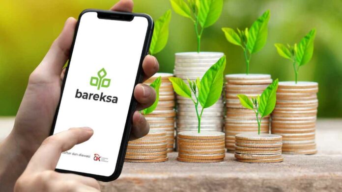 Cara Daftar SBN Ritel di Bareksa, Pengertian dan Keuntungannya