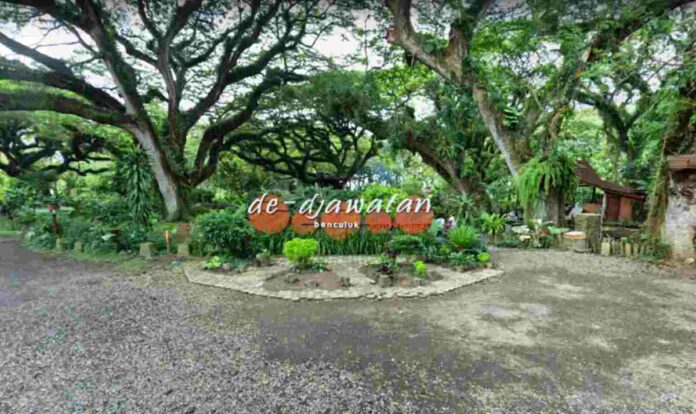 Objek Wisata De Djawatan Benculuk Banyuwangi Jawa Timur