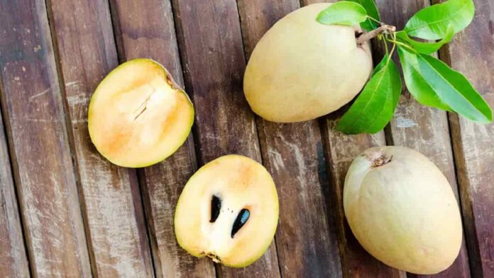 Manfaat Buah Sawo untuk Kesehatan, Mampu Mengatasi Anemia!