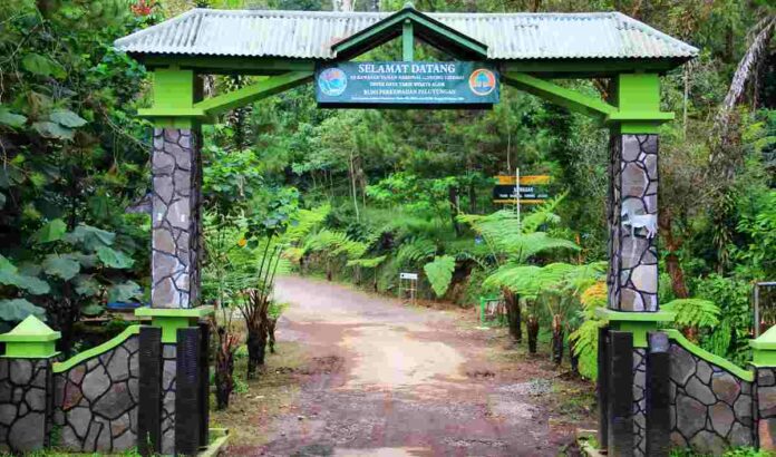 Objek Wisata Palutungan Kuningan Jawa Barat