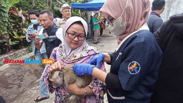 Suntik Rabies di Ciamis