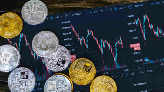 Saham Blue Chip Undervalued, Cek Daftarnya di Sini!