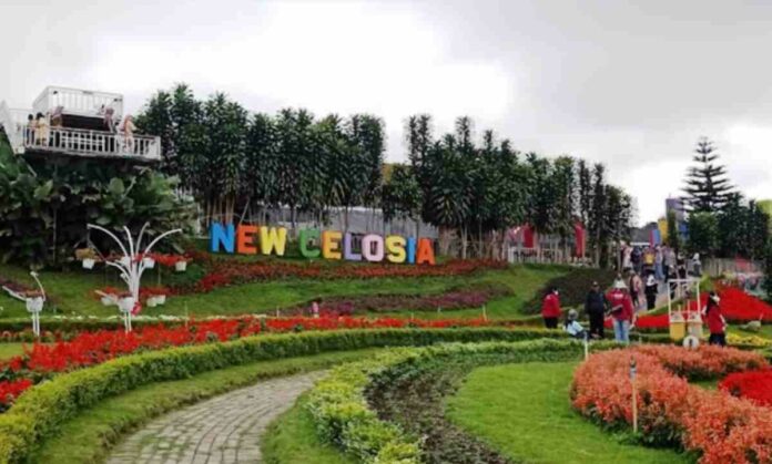 Taman Bunga Celosia Bandungan Semarang Jawa Tengah
