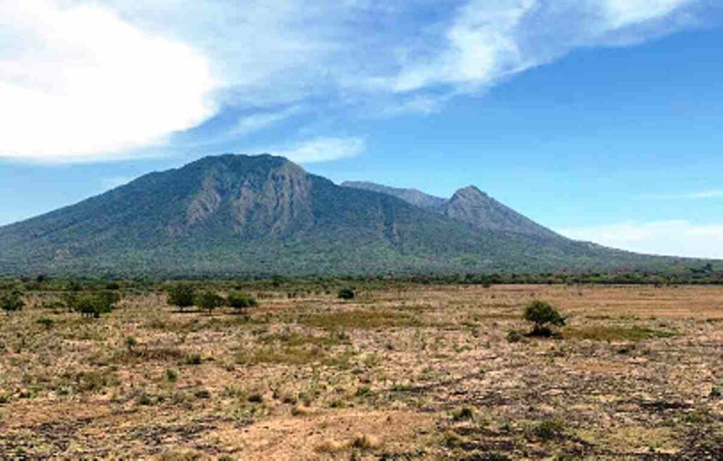 Objek Wisata Taman Nasional Baluran Banyuwangi Jawa Timur