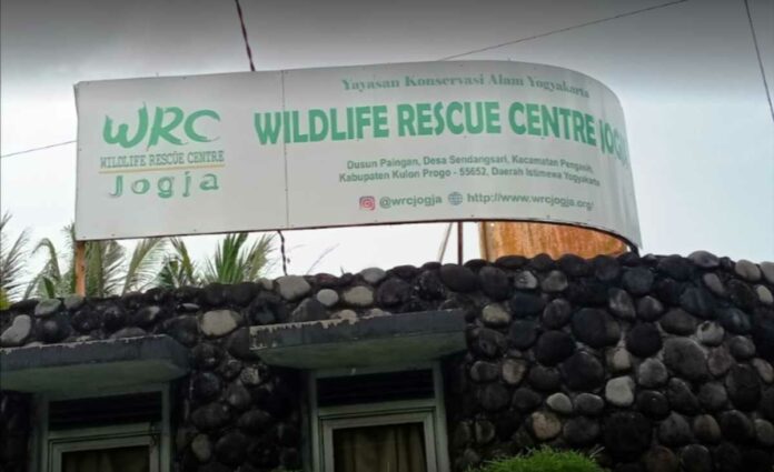 Objek Wisata Wildlife Rescue Center Kulon Progo Yogyakarta