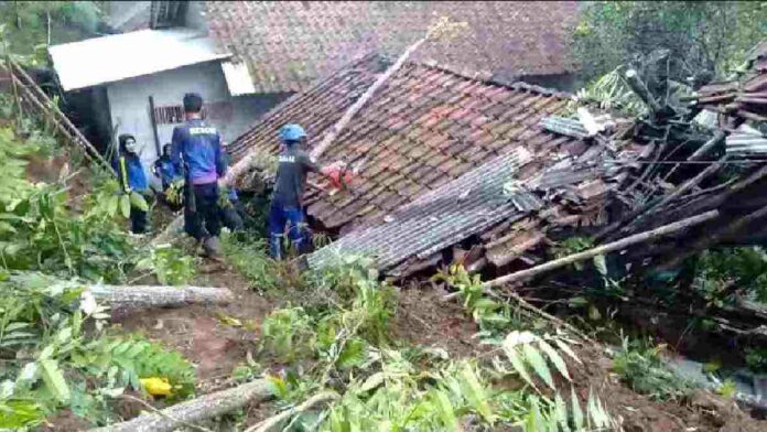 Tagana pohon tumbang